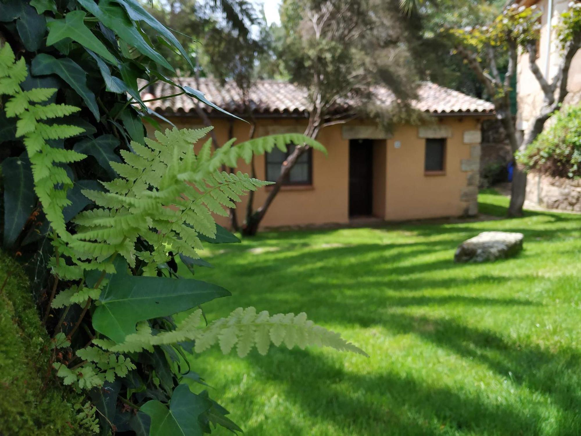 Apartamento El Calambuco Villanueva De La Vera